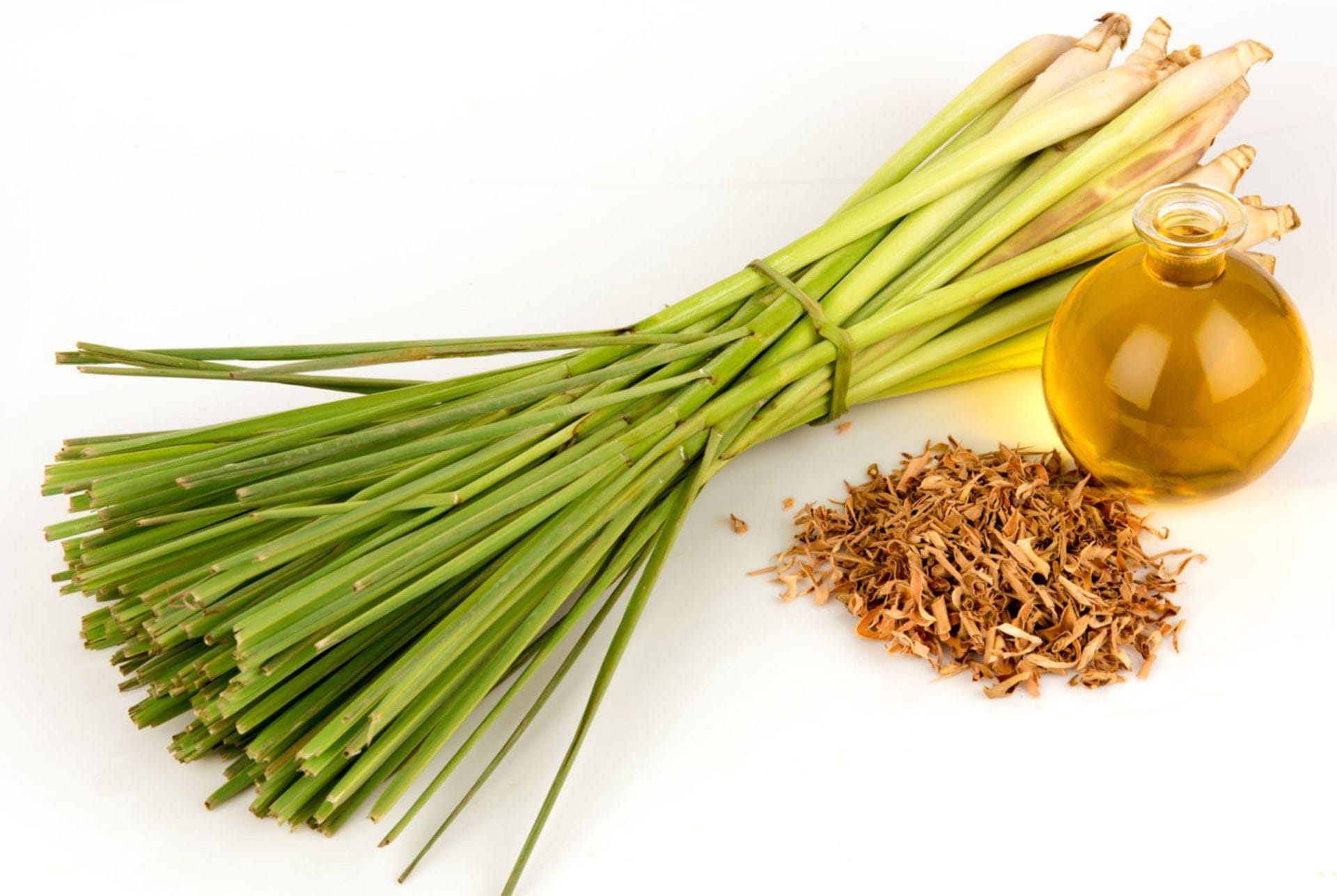 fresh lemongrass plant and essential oil