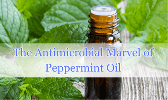 the antimicrobial marvels of peppermint oil all purpose cleaner