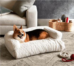 how to get odors out of dog bedding