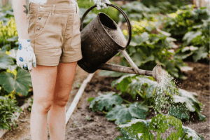 Boost Your Vegetable Garden’s Yield and Strength with Minus Bite Trinity