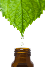 The Antimicrobial Marvel of Peppermint Oil