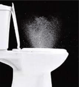 A toilet plume; the release of germs from flushing the toilet