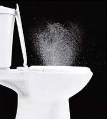 A toilet plume; germs released by toilet flushes