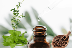 Peppermint, thyme and clove plants and essential oils