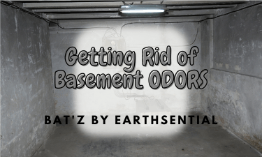 From Musty to Marvelous Basements