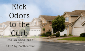 Freshen Up Your Ride: Say Goodbye to Car Odors 5 a home on a street