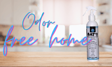 Kick odors to the curb for an odor-free home