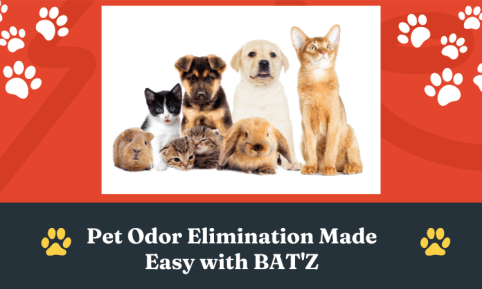 pet odor elimination made easy