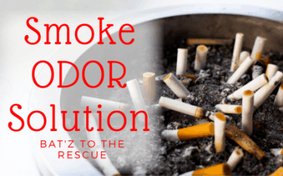 The Smoke Odor Eliminator BATZ to the Rescue