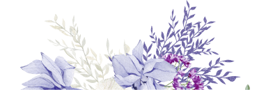 beautiful purple flowers