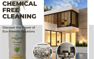 Chemical-Free Cleaning: Eco-Friendly Solutions