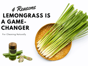 fresh lemongrass and lemongrass oil