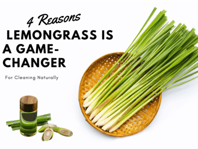 fresh lemongrass and lemongrass oil