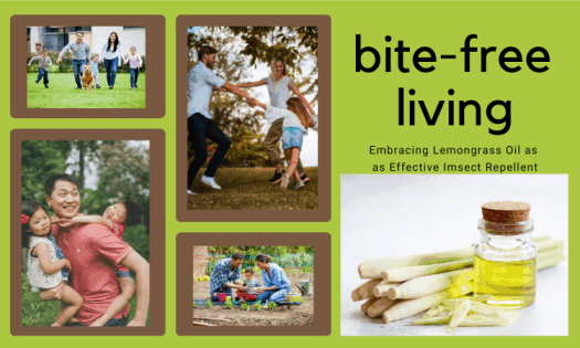 a couple families enjoying their backyards without the worry of biting bugs