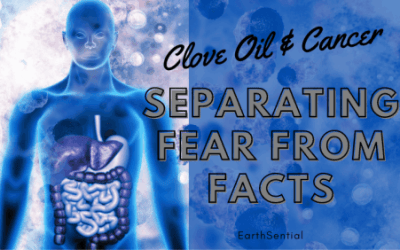 Clove Oil and Cancer: Separating Fear from Facts