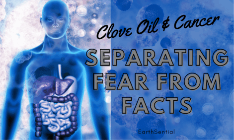 Clove Oil and Cancer: Separating Fear from Facts