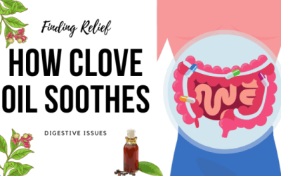 Finding Relief: How Clove Oil Soothes Digestive Issues