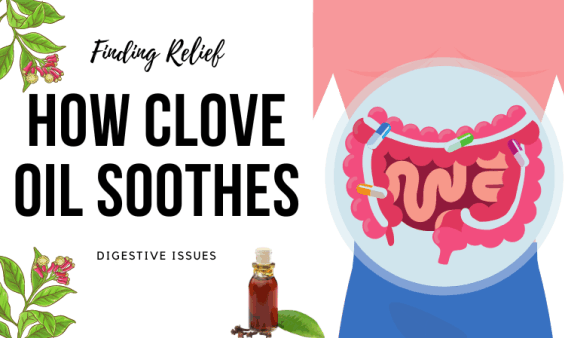 digestive issues and clove plants and essential oil