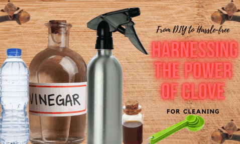 From DIY to Hassle-Free: Clove Oil for Cleaning