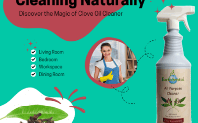 cleaning naturally the magic of clove cleaner
