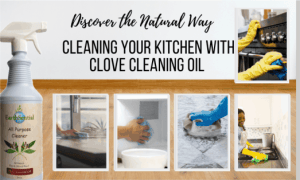 cabinet makeover bring life back to your kitchen 5 cleaning a stove, a microwave, the floor and the counter