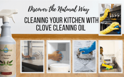 the natural way to clean your kitchen
