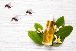 essential oils repel bugs