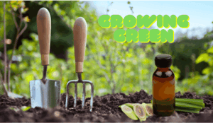 A Garden, Lemongrass's journey to organic farming