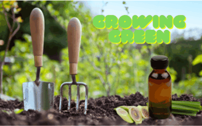 Lemongrass’s Journey in Organic Farming