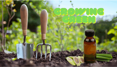 A Garden, Lemongrass's journey to organic farming