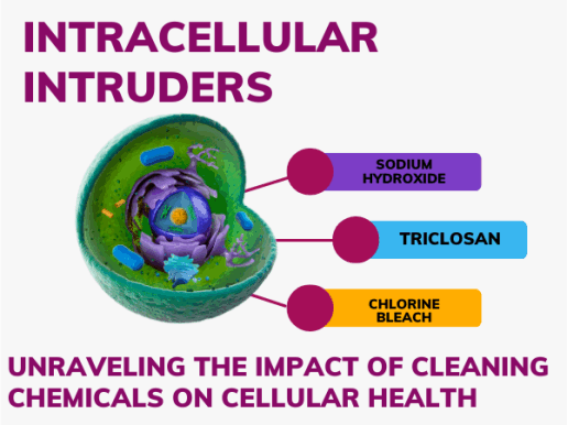 impact of cleaning chemicals on cellular health