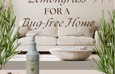 lemongrass formula for a bug-free home
