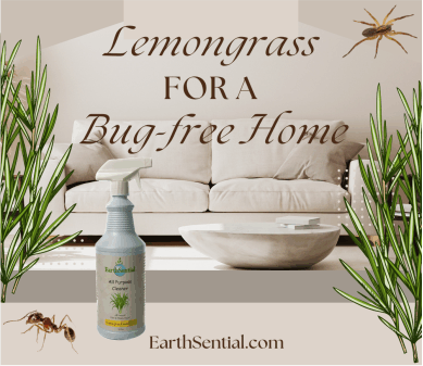lemongrass for bug-free home