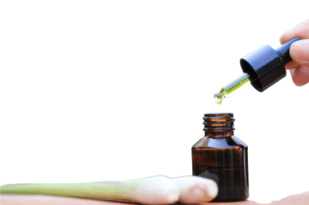 Embrace the Enchanting Aroma: Lemongrass as a Refreshing Home Fragrance.