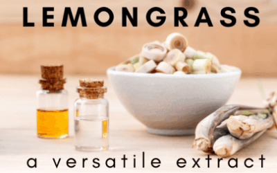 Lemongrass Essential Oil: A Versatile and Therapeutic Extract