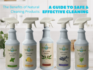 the path to a pristine bookstore with natural cleaners 13 the benefits of natural cleaning products a guide to effective cleaning