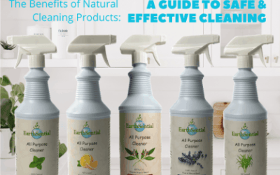 a guide to safe and effective cleaning