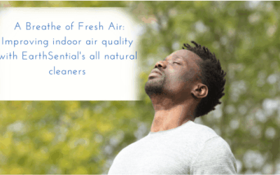 Improve indoor air quality with natural cleaners