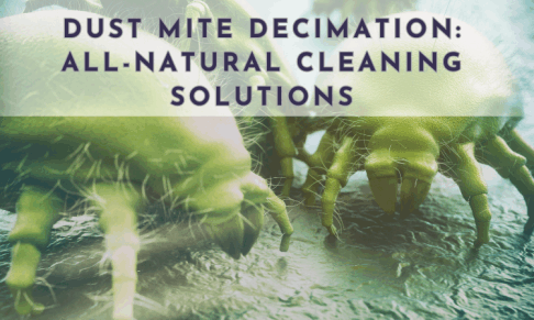 dust mite decimation all-natural cleaning