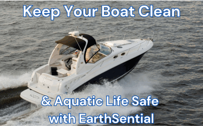 keep your boat clean and aquatic life safe