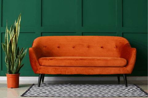 A couch, The Natural Solution for Upholstery and Carpets