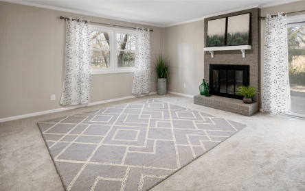 carpet shampoo and spot remover