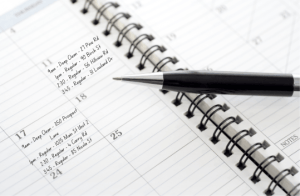 Maid Service Offers Natural Cleaners 1 appointment book with set cleaning appointments