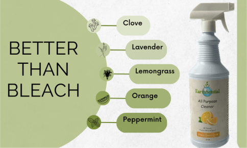 better than bleach, The Hidden Dangers of Traditional Cleaners