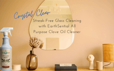 Streak-Free Glass Cleaning