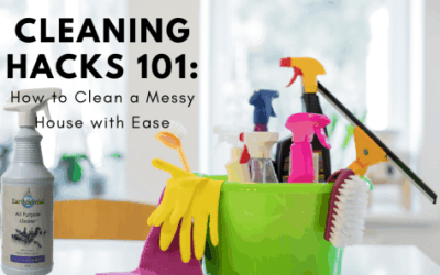 How to Clean a Messy House with Ease