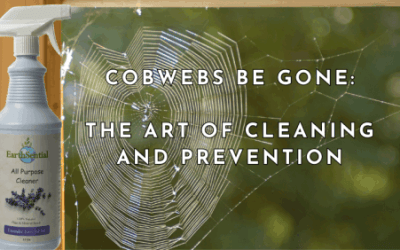 cobwebs be gone cleaning and prevention