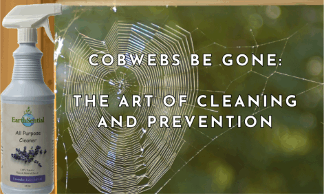 cobwebs be gone cleaning and prevention