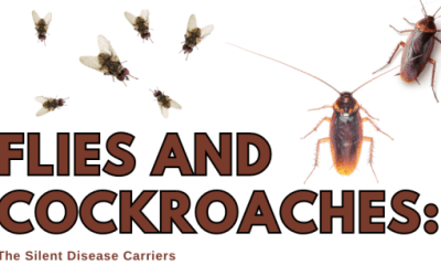 flies and cockroaches the silent disease carriers