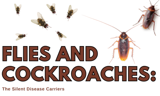 flies and cockroaches
